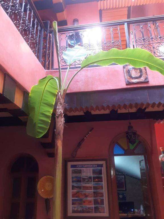 Riad Hanafi Marrakesh Ngoại thất bức ảnh