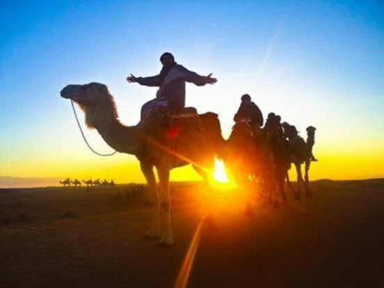 Riad Hanafi Marrakesh Ngoại thất bức ảnh